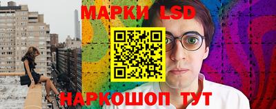 молекула духа Новозыбков