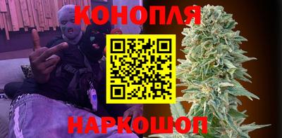 молекула духа Новозыбков