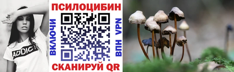 Псилоцибиновые грибы мухоморы  Партизанск 
