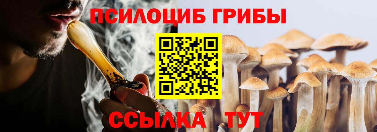 Галлюциногенные грибы Psilocybine cubensis  Вход с VPN  Партизанск 
