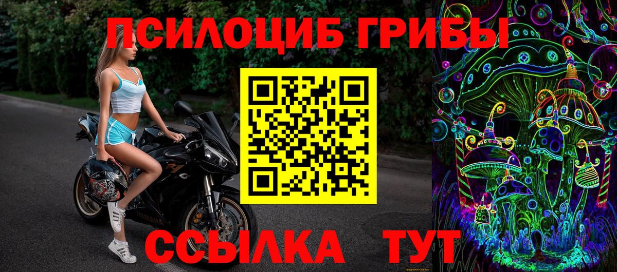Галлюциногенные грибы мухоморы Партизанск